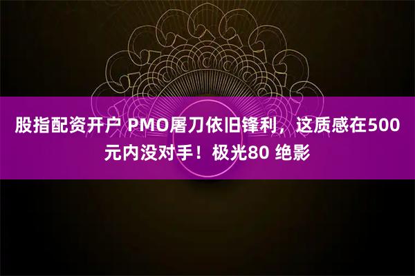 股指配资开户 PMO屠刀依旧锋利，这质感在500元内没对手！极光80 绝影