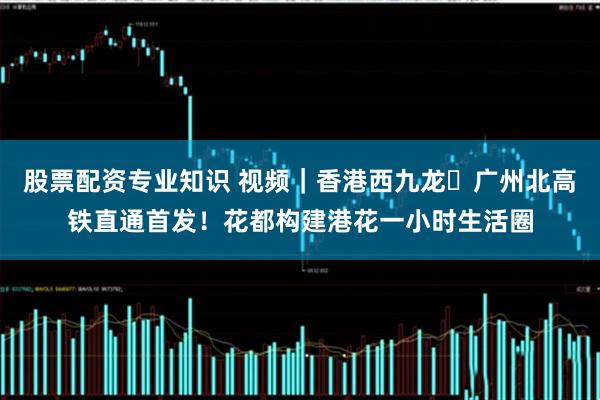 股票配资专业知识 视频｜香港西九龙⇌广州北高铁直通首发！花都构建港花一小时生活圈