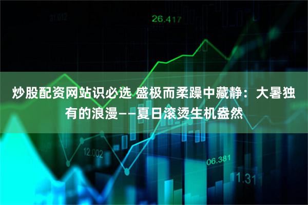 炒股配资网站识必选 盛极而柔躁中藏静：大暑独有的浪漫——夏日滚烫生机盎然